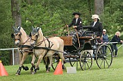 11_IMG_0183