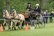 11_IMG_0184