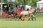 11_IMG_0185