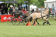 11_IMG_0186