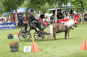 11_IMG_0189