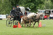 11_IMG_0190
