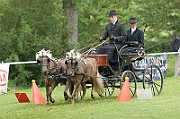 11_IMG_0194