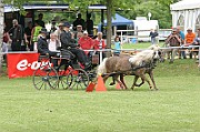 11_IMG_0196