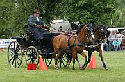 11_IMG_0200