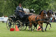 11_IMG_0201
