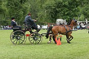 11_IMG_0202