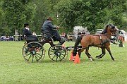 11_IMG_0203