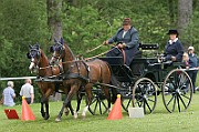 11_IMG_0205