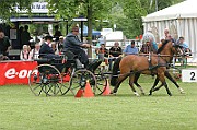 11_IMG_0208