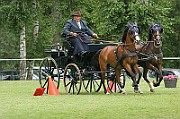 11_IMG_0210