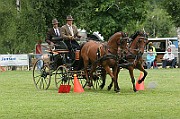 11_IMG_0213