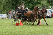 11_IMG_0214