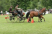11_IMG_0215