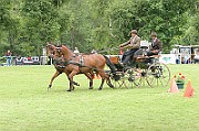 11_IMG_0216