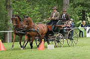 11_IMG_0217