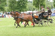 11_IMG_0219