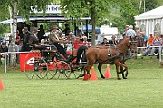 11_IMG_0220
