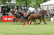 11_IMG_0221