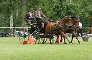 11_IMG_0222