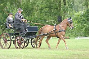 13_15_IMG_0003