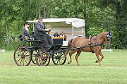 13_15_IMG_0004