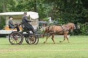 13_15_IMG_0008