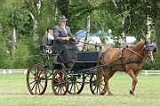 13_15_IMG_0010