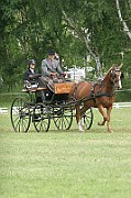 13_15_IMG_0013
