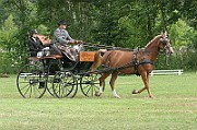 13_15_IMG_0016