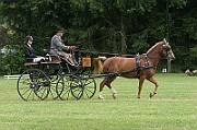 13_15_IMG_0017