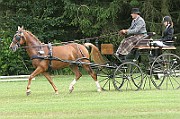 13_15_IMG_0018