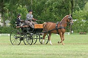 13_15_IMG_0020