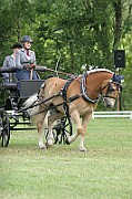 13_15_IMG_0029