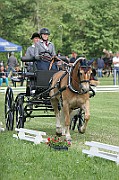 13_15_IMG_0031