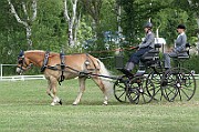 13_15_IMG_0033