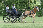 13_15_IMG_0036