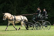 13_15_IMG_0041