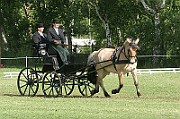 13_15_IMG_0042