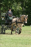 13_15_IMG_0044