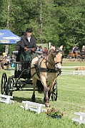 13_15_IMG_0045