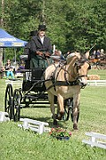 13_15_IMG_0047
