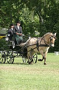 13_15_IMG_0049