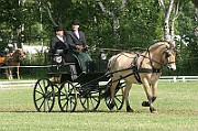13_15_IMG_0050