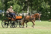 13_15_IMG_0053