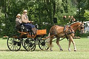 13_15_IMG_0054