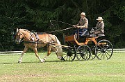 13_15_IMG_0058