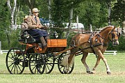 13_15_IMG_0060