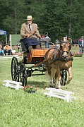 13_15_IMG_0065