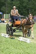 13_15_IMG_0066